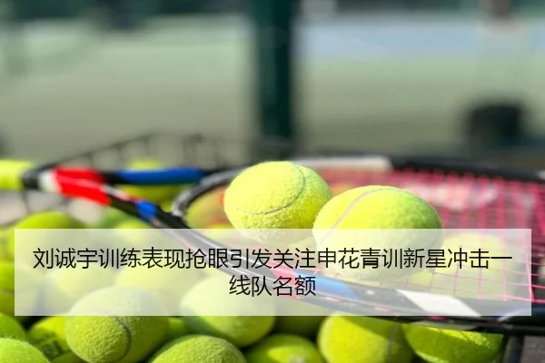 刘诚宇训练表现抢眼引发关注申花青训新星冲击一线队名额